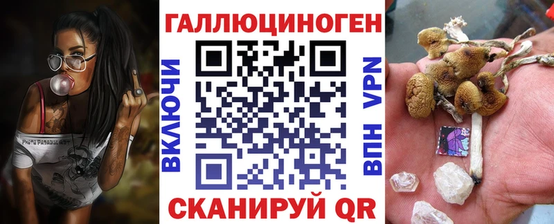 Псилоцибиновые грибы GOLDEN TEACHER  Енисейск 